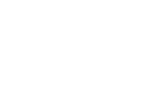 logosnvdia